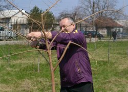 Actions “Clean Environment” and “Plant a Tree”